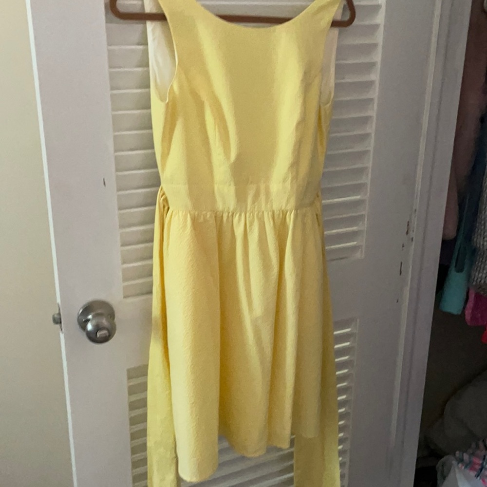 Never worn Lauren James sundress